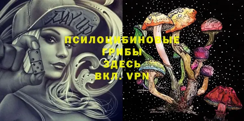 darknet формула  Кораблино  Псилоцибиновые грибы MAGIC MUSHROOMS 